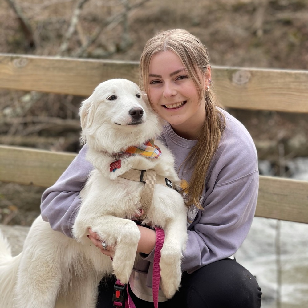 Meet your Posher, Ashton